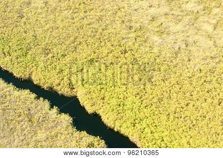 Okavango Delta Aerial View