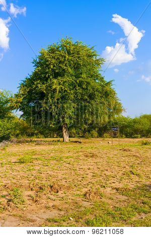 Landscape In Botswana