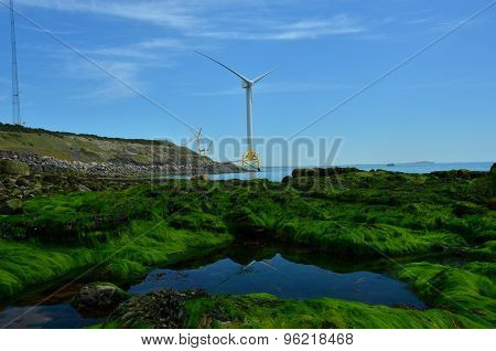 Wind Turbine at Coast