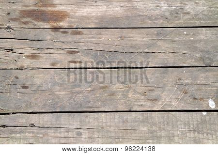 Decayed wood tissue
