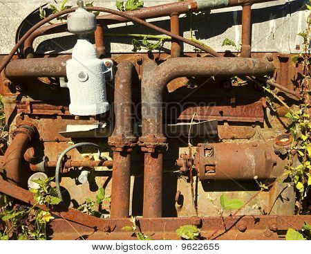 Rusty motor met wijnstokken