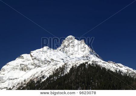 山