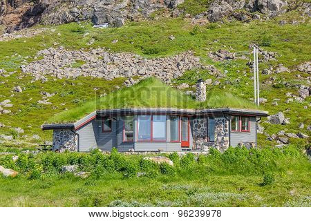 Ecological house