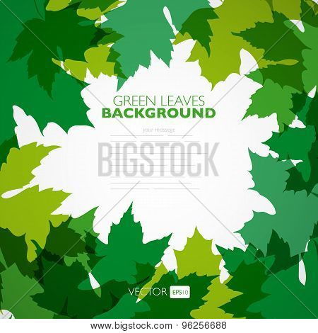 Natural background. Vector background with green leaves.