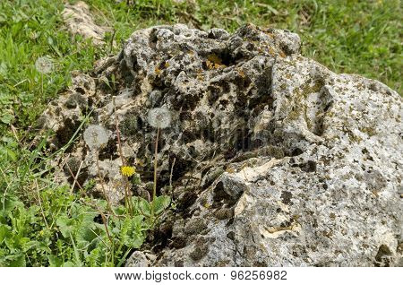 Part of authentic rockery in field