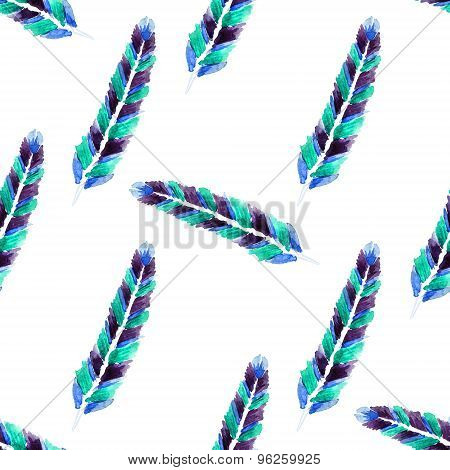 Watercolor feathers
