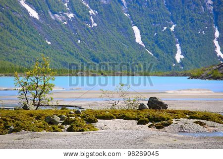 Norwegian Landscape
