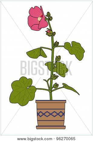 Potted Plant. Houseplants. Vector.