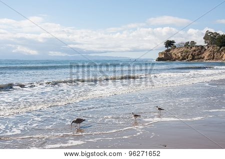 Santa Barbara Seascape