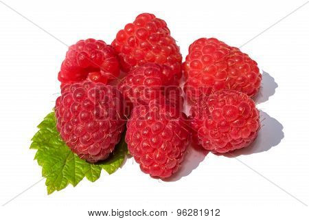 Raspberry Fruit With Leaf Sprig, Isolated Over White Background