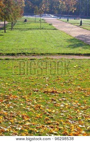 Autumn In Park