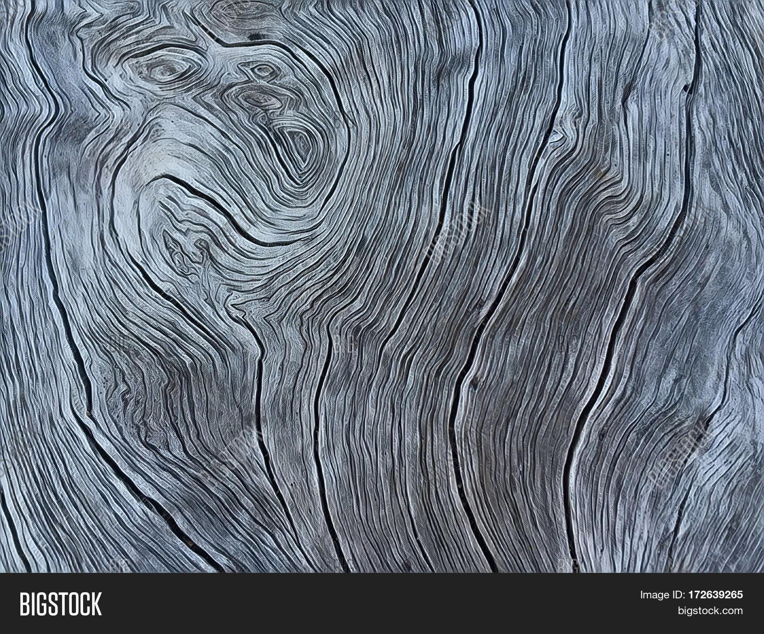 Silver Wood Texture Image & Photo (Free Trial) | Bigstock