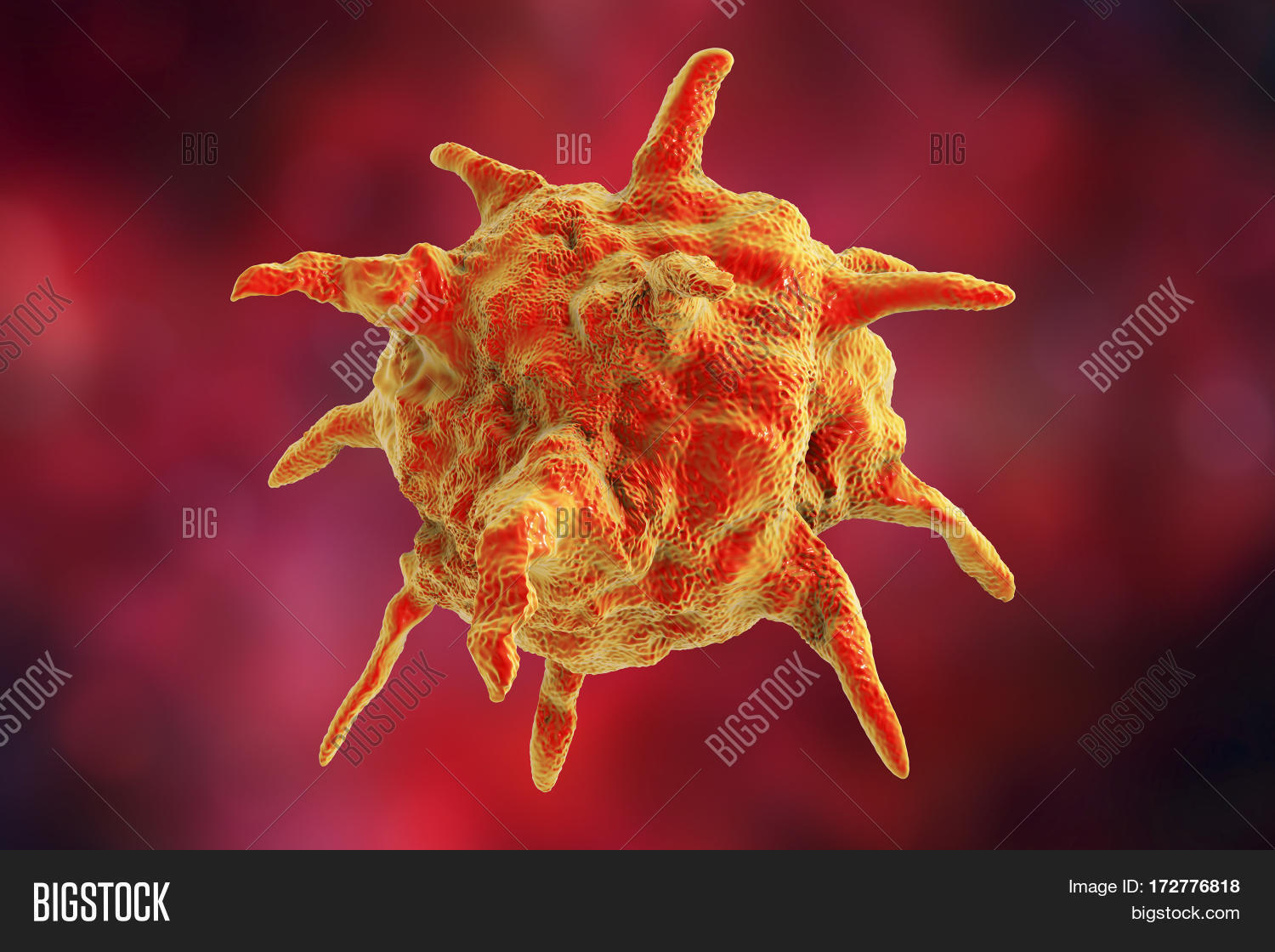 Human Animal Image & Photo (Free Trial) | Bigstock