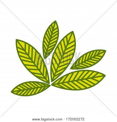 silhouette green leaves with ramifications vector illustration