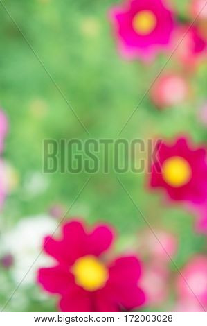 background pastel blur flower in the park style blur flower wallpaper