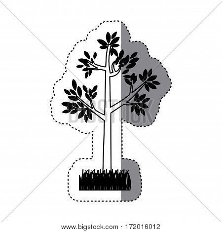 sticker contour silhouette tree leafy with bush vector illustration