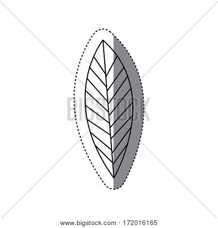 sticker silhouette leaf with ramifications icon vector illustration