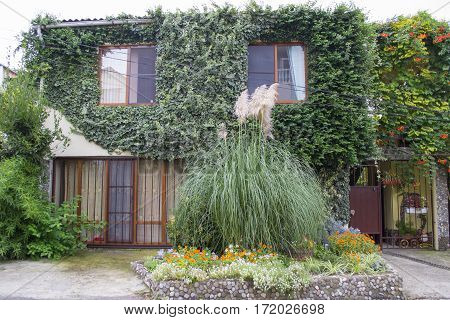 Tw- floor ivy-covered house in Lazarevskoye dictrict Sochi Russia