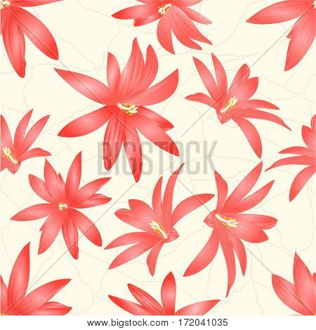 Seamless texture Easter cactus with flowers tropical succulent cracks in the porcelain vintage vector illustration