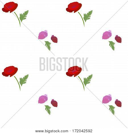 seamless floral pattern with poppies on white background. vector illustration.