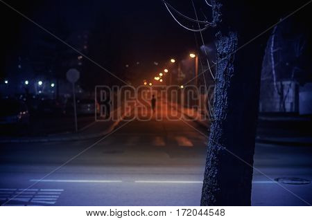 Cacak town in Serbia cinematic view from blue and dark tree to dark orange street with some walkers.