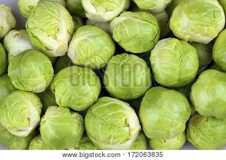 Sprouts