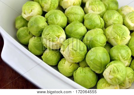 Sprouts