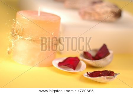 스파