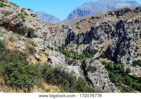 Palm forest among rocks in Preveli, Crete island, Greece