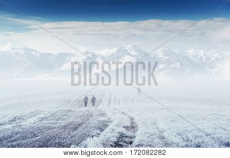 October mountain range in the first winter days. Road to hoarfrost during the morning sun. Scenic fog. Tourists who conquer the mountain. Carpathian, Ukraine, Europe.