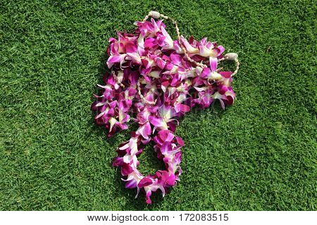 Hawaiian lei. two Hawaiian lei's on green grass in heart shaped designs
