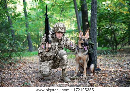 Soldier with military working dog in forest