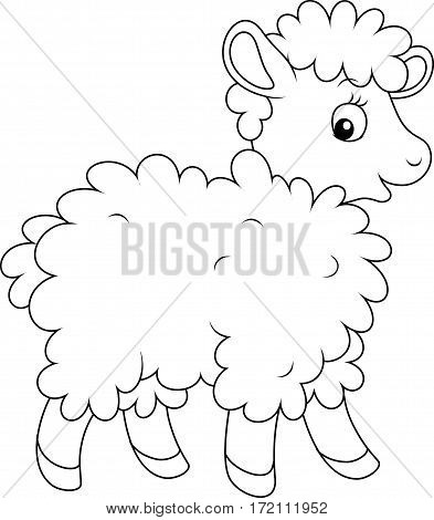 Black and white vector illustration of a curly sheep walking