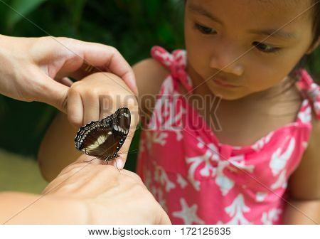 beuatiful little butterfly walking on kid's hand