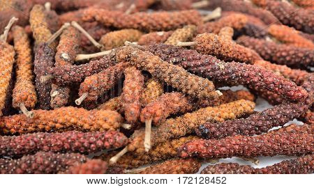 Long Pepper Close Up Background Texture