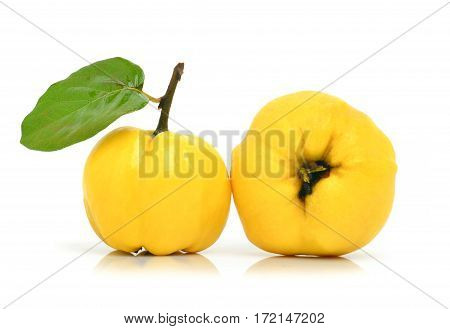 Ripe quinces isolated on white background, with leaves