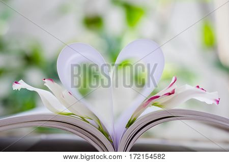 Petals of Eustoma russellianum flower & heart shape which made by white paper notebook. Clear bright nature background
