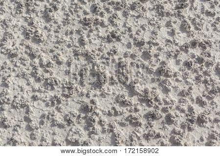 White arid cracked lumpy dry textured desert soil