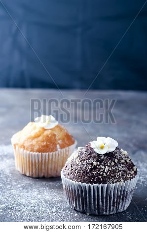 Homemade Chokolate And Vanilla Capcakes