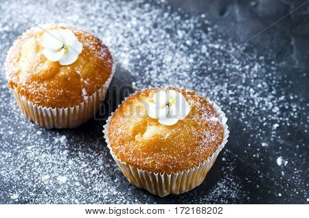 Homemade Vanilla Capcakes