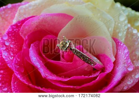 Diamond Golden Ring On The Rose Petals, Valentine's Day Present
