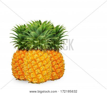 Close up group of pineapples on white background