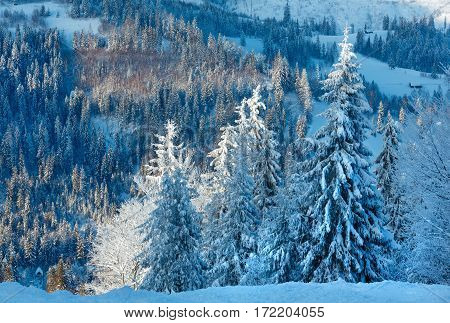 Winter Carpathian Mountains Landscape, Ukraine.