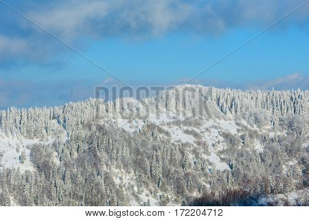 Winter Ukrainian Carpathian Mountains Landscape.