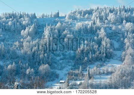 Winter Ukrainian Carpathian Mountains Landscape.