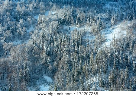 Winter Ukrainian Carpathian Mountains Landscape.