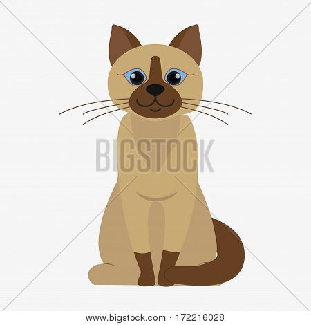 Cat Vector Illustration