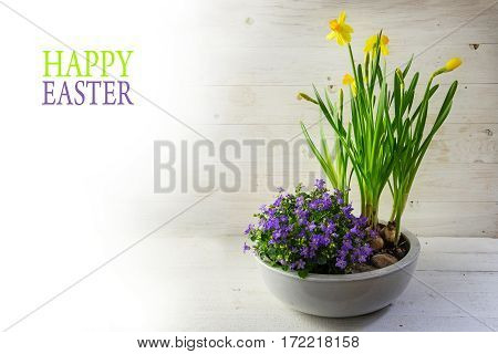 potted spring flowers daffodils and bluebells in a ceramic bowl on bright wood background fades to white sample text Happy Easter