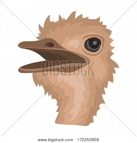 Ostrich icon in cartoon design isolated on white background. Realistic animals symbol stock vector illustration.