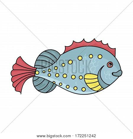 Sea Fish 矢量图和照片(免费试用) | Bigstock